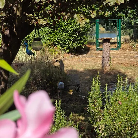 Belvédère Du Lac, Grande Maison Avec Jardin * Châtellerault